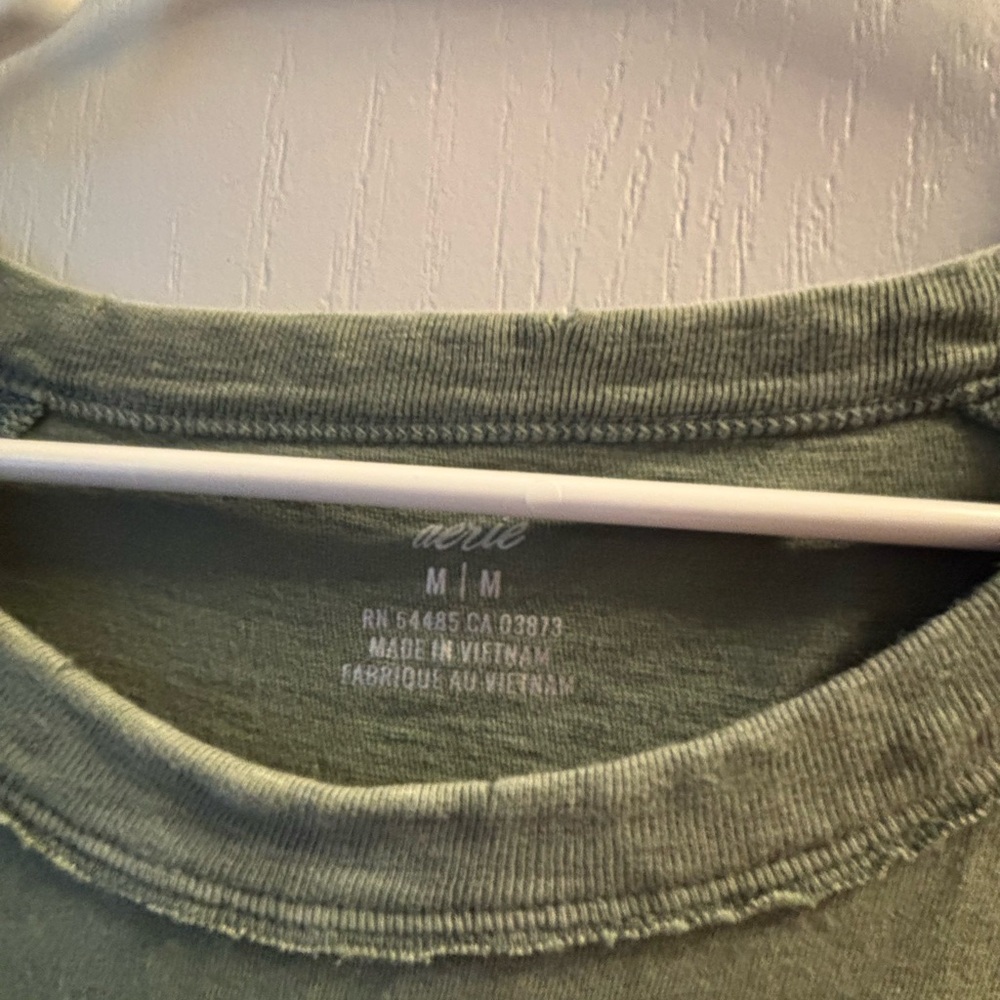 Aerie Sage Green Crew Neck Tee